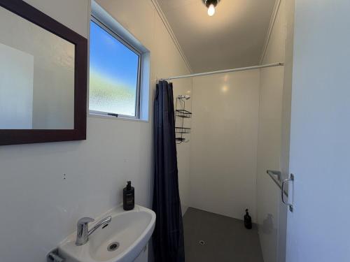 a bathroom with a sink and a mirror and a shower at Wilmas by the Bay in Riverton