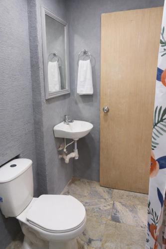 a bathroom with a toilet and a sink at Refugio Rio Santo in Las Alfombras