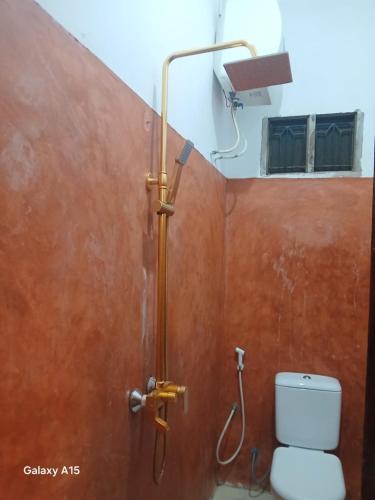 a shower in a bathroom with a toilet at Naira House in Jambiani