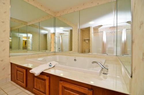 a bathroom with a tub and a large mirror at Peach State Inn & Suites in Hawkinsville
