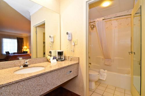 a bathroom with a sink and a shower and a toilet at Peach State Inn & Suites in Hawkinsville