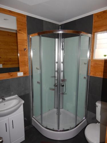 a glass shower in a bathroom with a toilet at Cabañas Nutrias Patagonicas in Puelo