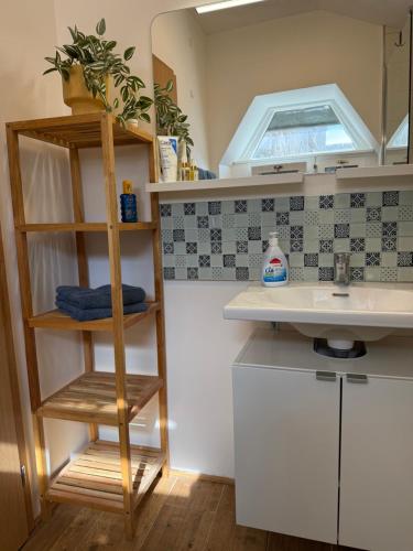 Ferri-apartment in the heart of old Rovinj