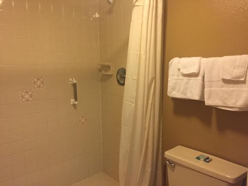 a bathroom with a shower and a toilet at Charlotte Bay Resort in Port Charlotte