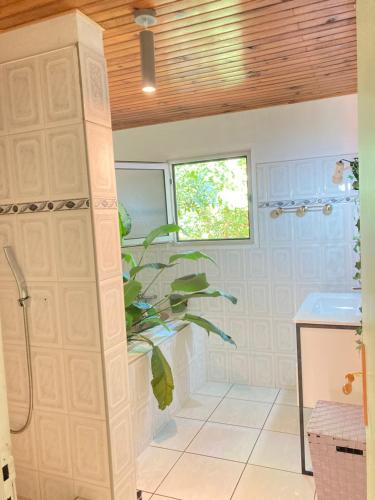 a bathroom with a shower and a plant at Cascade Grand-Galet à 2 min -Maison entière -La Kase de la Cascade- Rivière Langevin in Saint-Joseph
