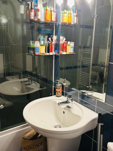 a bathroom with a sink and a mirror at Experience at Malinova dolina in Sofia