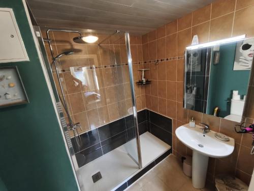 a bathroom with a shower and a sink at Chez Les Ch'Tis in Commes