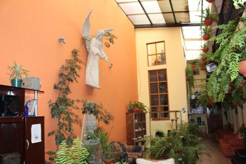 Zahrada ubytování Hotel Kasa Kamelot