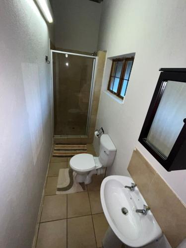 a bathroom with a toilet and a shower and a sink at Lapa Lê Lê Lodge in Ellisras