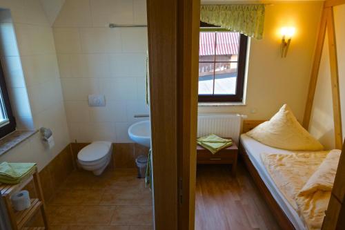 ein kleines Bad mit WC und Waschbecken in der Unterkunft Gasthaus Rundteil in Bannewitz