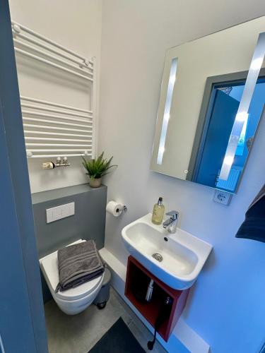 a bathroom with a sink and a toilet and a mirror at Gästeapartment Schkeuditz Dachgeschoss in Schkeuditz