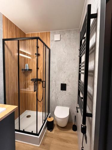 a bathroom with a glass shower and a toilet at Mountain View Home in Wysowa-Zdrój