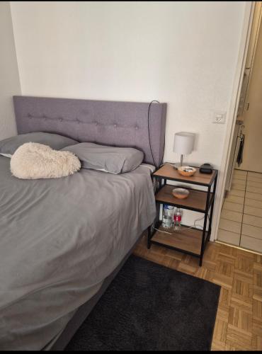 Studio en centre Ville, côté de la Gare de Champel et d l'Hopital