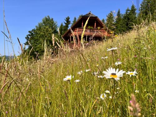 a field of flowers in front of a house at HolidayHouse Mahova koča in Zreče