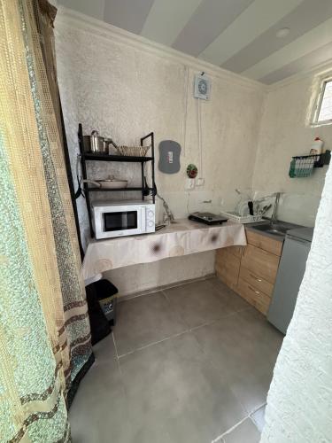 a small kitchen with a counter with a microwave at Green House მწვანე სახლი in Sighnaghi