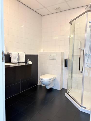 Bilik mandi di Hotel Bieze