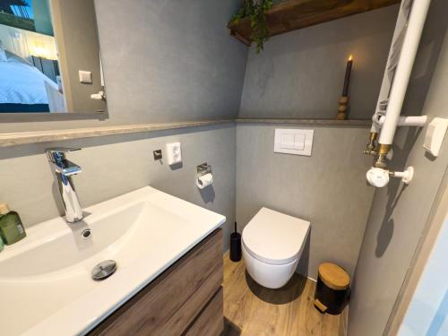 a bathroom with a sink and a toilet at Hotelhuisjes Medemblik in Wieringerwerf