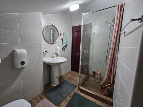 a bathroom with a shower and a sink at Apartmani Mašić Trebinje in Trebinje