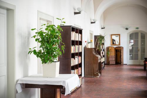 a potted plant sitting on a bench in a library at Hotel Adalbert in Prague