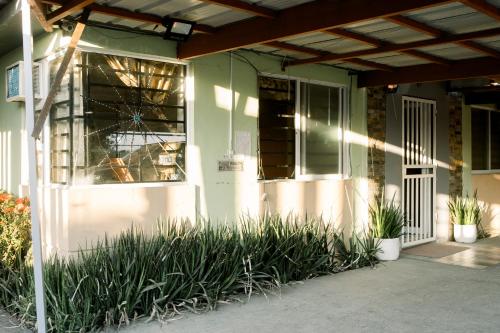 a house with plants in front of a window at CELCOR PENSION HOUSE in Cabatuan