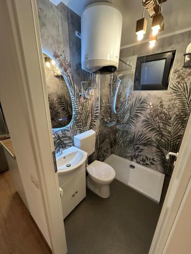 a bathroom with a sink and a toilet and a sink at Tiny Cozia Caciulata in Caciulata