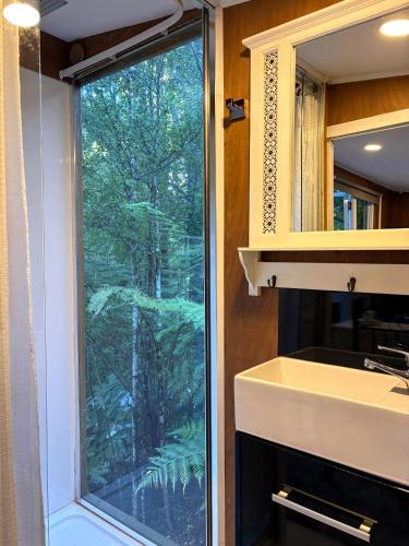 a bathroom with a large window and a sink at Fantail Bush Chalet and Hot Tub in Parakakau