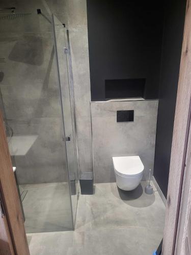 a bathroom with a shower and a toilet at Noclegi Bielawa in Bielawa