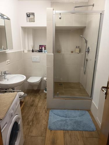 a bathroom with a shower and a toilet and a sink at Ferienwohnung Veljanovski Haus der Sonne in Blaufelden