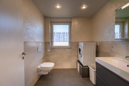 a bathroom with a toilet and a sink and a mirror at Müller´s Talblick in Deggingen