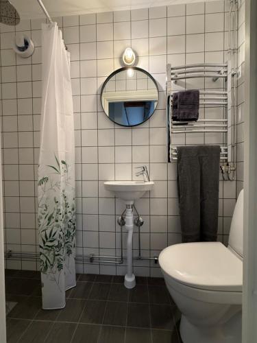 a bathroom with a toilet and a sink at Fiskarhuset - seaside cottage 4 pax in Sjöbo