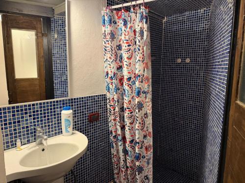 a bathroom with a shower curtain and a sink at Assisi 2 by E-Roi Rent - Museo Egizio in Turin