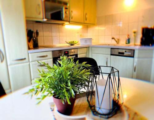 a kitchen with a table with two plants on it at Ferienhaus am Erzgebirgskamm in Marienberg