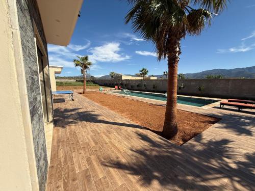a house with a palm tree and a swimming pool at Villa Bonheur - Piscine sans vis-à-vis in Berkane