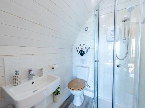 a bathroom with a toilet and a sink and a shower at 1 Bed in Barnstaple oc-90190 in Bratton Fleming