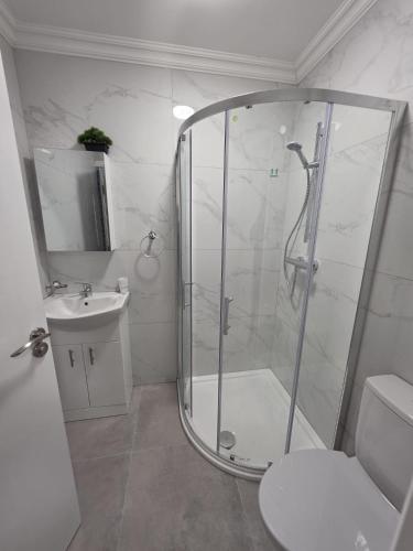 a bathroom with a shower and a toilet and a sink at Milk Market Inn in Limerick