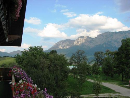 a view of a valley with mountains and flowers at Tremlhof in Unterach am Attersee