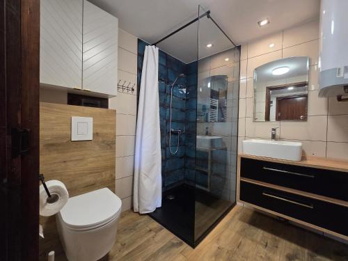 a bathroom with a shower and a toilet and a sink at Dolina Biebrzy - Chata Flisaka in Wroceń