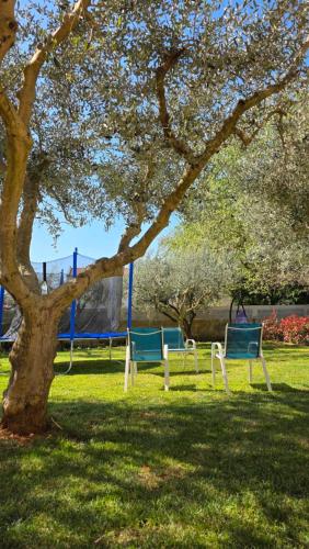 Apartman Vito