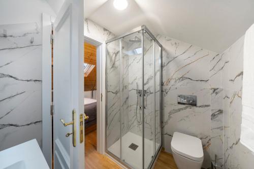 a bathroom with a shower and a toilet at Exceptional stone character house Chalet Prazeres in Prazeres