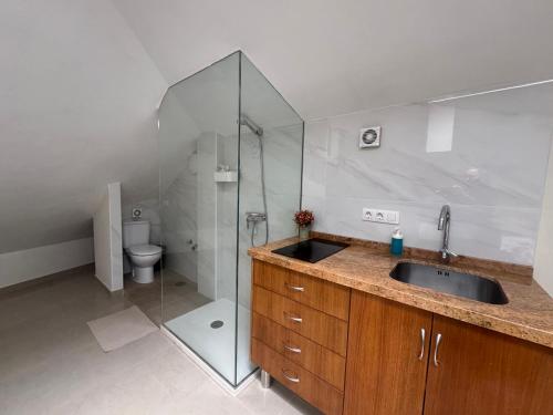 a bathroom with a sink and a glass shower at Casa Maricarmen villa in Tacoronte