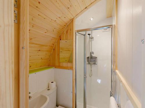 a small bathroom with a shower and a toilet at 2 Bed in Okehampton oc-92385 in Okehampton