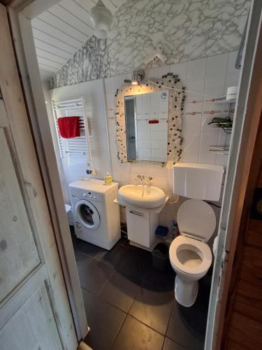 a bathroom with a toilet sink and a washing machine at Villa Beata in Nowe Warpno