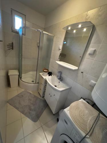 a bathroom with a shower toilet and a sink at Somló Home in Somlószőlős