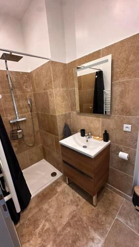 a bathroom with a sink and a shower and a mirror at Maison T2 avec terrasse et cours de 50m2 in Sorgues
