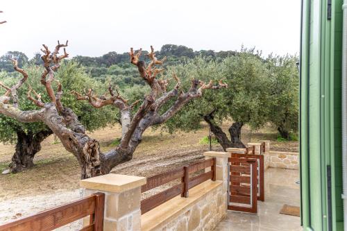 Casa Koleni, Cozy Retreat 2 Bedroom House