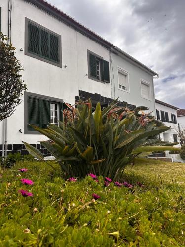 Azor International House