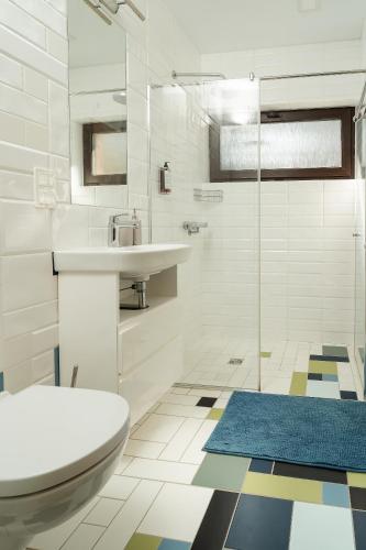 a bathroom with a toilet and a sink and a shower at Žvėrinčiaus vila in Birštonas