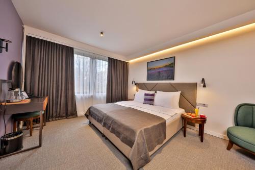 a hotel room with a bed and a desk and a chair at Hotel Botanica in Belgrade