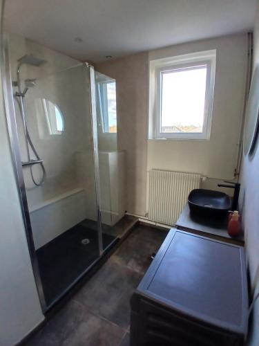 a bathroom with a shower and a toilet at 4-person apartment La Salamandre in Gondreville