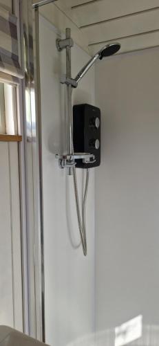 a shower in a bathroom with a light on the wall at Dolly at Lowlands in Ringwood